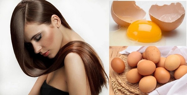 cách giúp tóc mau dài bằng trứng gà