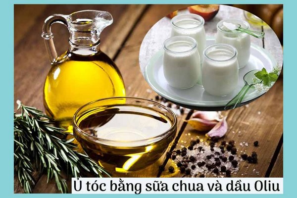 dầu oliu và sữa chua